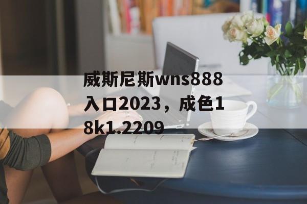 威斯尼斯wns888入口2023，成色18k1.2209